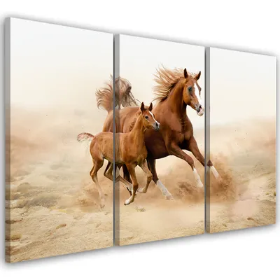 Produktbild von Triptychon auf leinwand tiere - braun 150x100 cm Feeby braun wandbild bereit zum aufhängen