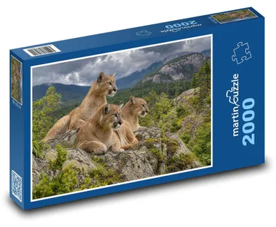 Obrázek produktu pro Puzzle 2000 Tři pumy na skále - martinpuzzle