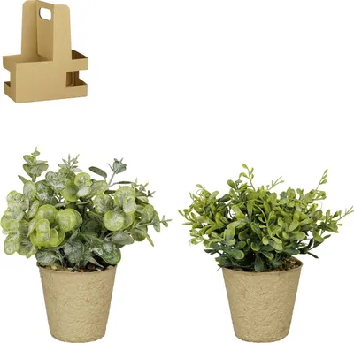 Produktbild von Mica Decorations Kunstpflanze Kräuter im Topf grün Ø 9 x 16 cm- 2 Stück