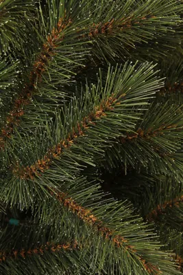 Obrázok produktu pre Triumph Tree Bristlecone Fir umelý vianočný stromček 686 tipov - Farba: zelená - Výška: 185 cm - Ø 119 cm; 398726