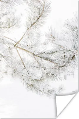 Produktbild von MuchoWow® Poster Winter - Schnee - Zweige 120x180 cm - Kunstposter