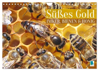 Produktbild von Süßes Gold: Imker, Bienen & Honig (Wandkalender 2027 DIN A4 quer), CALVENDO Monatskalender