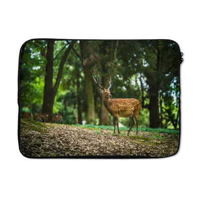 Produktbild von MuchoWow® Laptop Hülle 14 ZollRotwild - Wald - Tier Laptoptasche - Laptoptasche - Stoßsicher - Schutzhaube