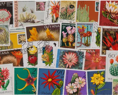 Produktbild von Verschiedenes Briefmarken-Sortiment