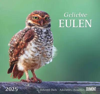 Produktbild von DUMONT - Geliebte Eulen 2025 Wandkalender, 38x35,5cm, Kalender mit schönen Eulen-Motiven und den wichtigsten Feiertagen, Spiralbindung