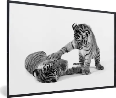 Produktbild von MuchoWow® MuchoWow® Gerahmtes Poster Tiger - Spiele - Schwarz - Weiß 90x60 cm - Poster mit zchwarzem Bilderrahmen - Fotorahmen - Foto-Plakat