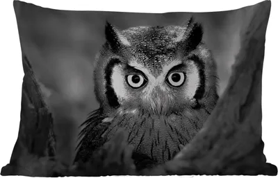 Produktbild von MuchoWow® Outdoor Kissen - Vogel - Eule - Porträt - Schwarz - Weiß - 50x30 cm - Wetterfest - Lounge Kissen - Sofa kissen - Wohnzimmer Dekoration
