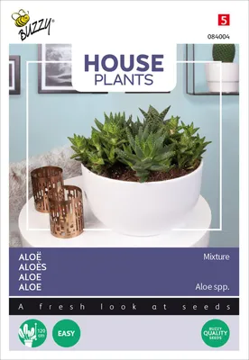 Artikelbild 2 von 'Aloe Mischung' aus der Kategorie Zimmer & Kübelpflanzen