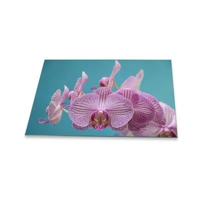 Produktbild von Herdabdeckplatte Glaskeramik 1 Teilig 80x52 Blumen Violett Abdeckung Glas Spritzschutz