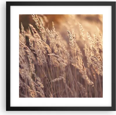 Produktbild von Gerahmtes Poster - Schwarzer Rahmen - Boho Ähren Feld - 40x40 cm - Wand Bild - Wanddeko - Wandbilder - Kunstposter - Wandposter - Bilderrahmen - Bilder - Kunstdruck - Wanddekoration - P2BAC40x40-4838
