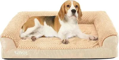 Image de Lit pour chien de taille moyenne, couleur kaki, avec revêtement imperméable