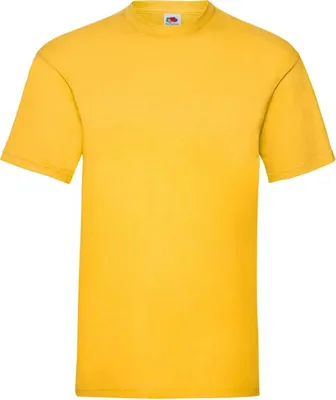 Produktbild von Herren-T-Shirt, Kurzarm - FOL VALUEWEIGHT T - sunflower - Größe 3XL
