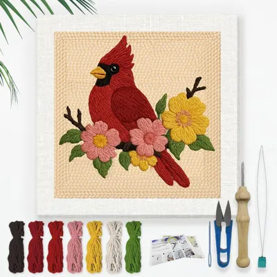 Obrázek produktu pro Sada pro výrobu výšivky Kardinalvogel, 24 cm, sada pro začátečníky s rámem, jehlou a přízí
