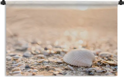Produktbild von MuchoWow® Wandteppich Wandbehang Muscheln - Weiß - Strand - Sommer 60x40 cm Tapisserie Dekoration Wandtuch - Wanddekorationen