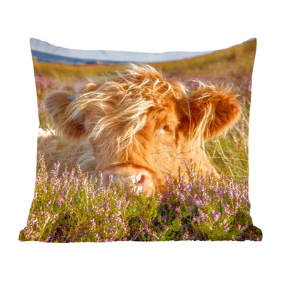 Produktbild von MuchoWow® Zierkissen Sofakissen Wohnzimmer Dekokissen 60x60 cm Schottische Hochlandrind - Heide - Gras - Tiere - Sitzfläche - Foto Polster