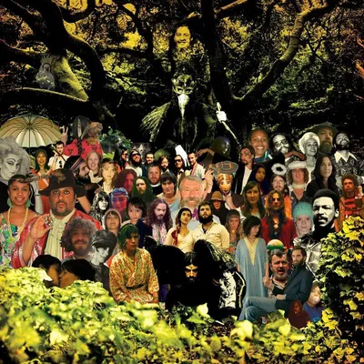 Produktbild von Devendra Banhart: Crippel Crow (20th Anniversary Deluxe Edition) (Black & Clear Green Smoke Vinyl)