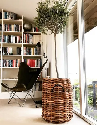 Produktbild von A2 Living RATTAN Korb MAXI Rund 45x66 Deko Pflanzkorb Aufbewahrung Blumentopf