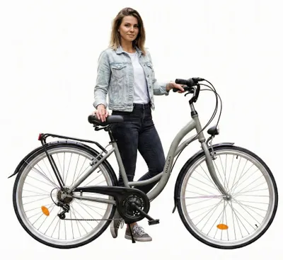 Produktbild von Dallas Bike Fahrrad - Citybike für Damen 28 Zoll - Shimano 7-Gang - Rahmen M 18" - Grau-Schwarz