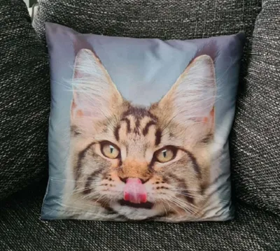 Produktbild von Dekorativer Tier Kissenbezug: Katze - 40cm x 40cm