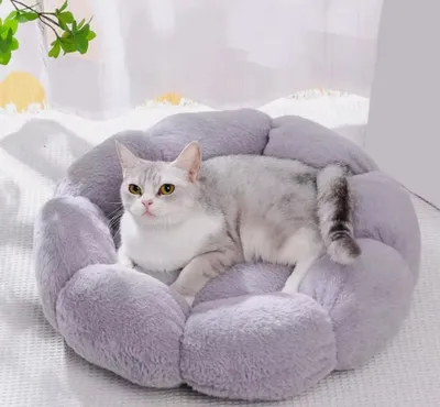 Produktbild von Tierschatz Plüsch Haustierbett, Katzenbett Katzenliege in Grau, Waschbares Flauschiges Katzenkissen, Gemütliches Haustierkissen 50cm Größe M