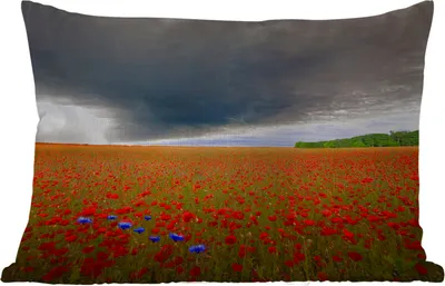 Produktbild von MuchoWow® Outdoor Kissen - Blumen - Rot - Grau - 50x30 cm - Wetterfest - Lounge Kissen - Sofa kissen - Wohnzimmer Dekoration