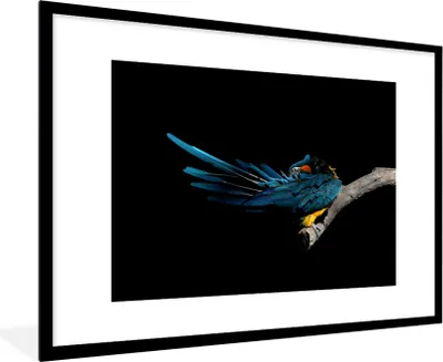 Produktbild von MuchoWow® MuchoWow® Gerahmtes Poster Vogel - Federn - Zweig - Schwarz 90x60 cm - Poster mit zchwarzem Bilderrahmen - Wanddekoration - Fotos
