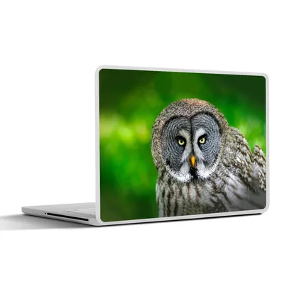 Produktbild von MuchoWow® Laptop Aufkleber Sticker Cover Vogel - Eule - Tiere - Braun - Porträt 40x30 cm - Laptop Dekoration - Selbstklebend