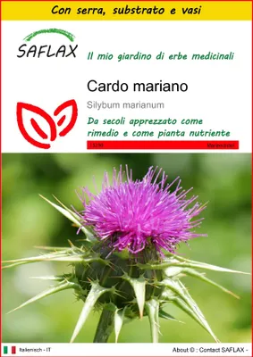 Immagine prodotto di SAFLAX Insieme di coltivazione - Cardo mariano - 75 semi - Silybum