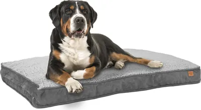 Produktbild von Hundebett Hundekorb Hundekissen 120 x 78 cm Waschbar & Rutschfest Happy Dreams XL Grau ib style®