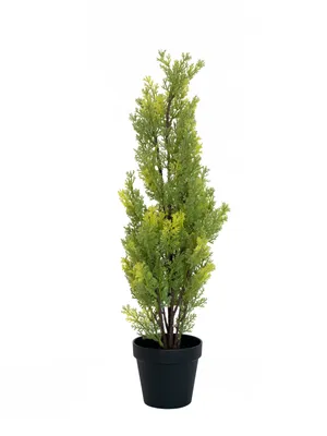 Produktbild von EUROPALMS Zypresse, Leyland, Kunstpflanze, 60cm (82606959)