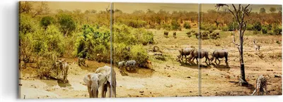 Produktbild von Bild auf Leinwand - Leinwandbild - Safari Tiere - 120x40cm - Wand Bild - Wanddeko - Wandbilder - Leinwanddruck - Bilder - Kunstdruck - Wanddekoration - Leinwand bilder - Wandkunst - CA120x40-3880