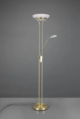 A floor lamp with two lights against a plain gray background.