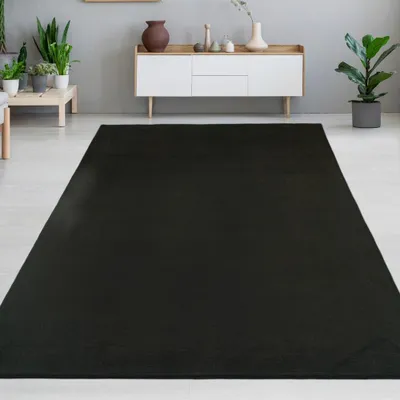 Obrázek produktu pro Moderní černý koberec sametově měkký, snadno udržovatelný s atmosférou Velikost - 200 x 280 cm