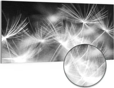 Produktbild von DEQORI Hybrid Leinwand Bild 100x50 cm 'Pusteblumenflug' Wandbild Glas flach modern