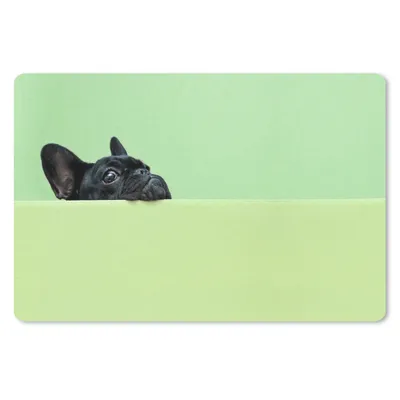 Produktbild von MuchoWow® Schreibtischunterlage Französische Bulldogge - Grün - Schwarz 60x40 cm - XXL Mauspad - Großes Mauspad