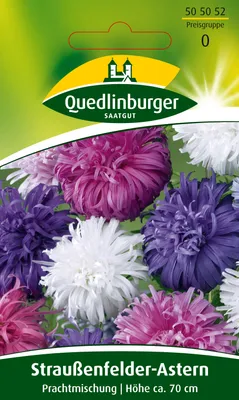 Produktbild von Straussenfederaster Mischung. | Asternsamen von Quedlinburger [MHD 01/2024]