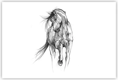 Produktbild von Poster - Poster ohne Rahmen - Pferd Galopp Tier - 91,5x61 cm - Wand Bild - Wanddeko - Wandbilder - Kunstposter - Wandposter - Bilder - Kunstdruck - Wanddekoration - Wandbild - P2XAA91x61-5080