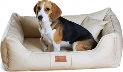 Produktbild von tierlando MADDOX KOMFORT Hundebett Hundesofa Kunstleder S - XXL - Größe: 100x75cm | Farbe: 05 Creme
