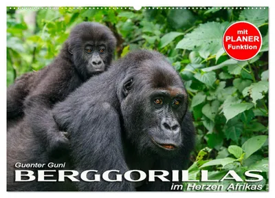 Immagine prodotto di Gorilla di montagna nel cuore dell'Africa (calendario da parete 2027, formato DIN A2 orizzontale), calendario mensile CALVENDO