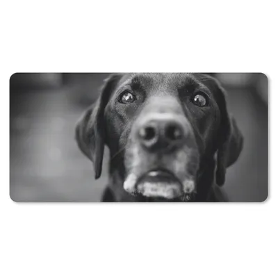 Produktbild von MuchoWow® Mauspad Mousepad Tierprofil Labrador Hund in schwarz und weiß 60x30 cm - Mousepads - Maus Mat - Pad - Mausunterlage - Nachhaltig