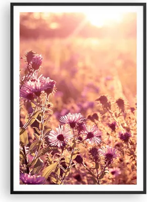Produktbild von Gerahmtes Poster - Schwarzer Rahmen - Wiese Blumen Sonne - 70x100 cm - Wand Bild - Wanddeko - Wandbilder - Kunstposter - Wandposter - Bilderrahmen - Bilder - Kunstdruck - P2BPA70x100-4819