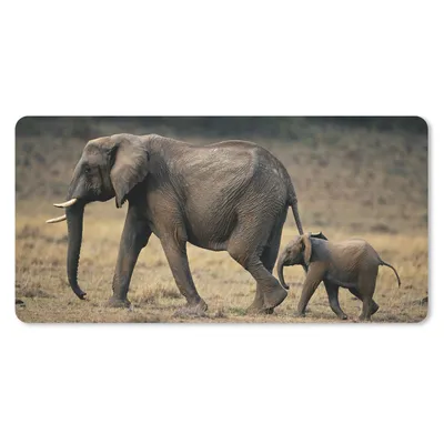Produktbild von MuchoWow® Mauspad Mousepad Elefant - Tiere - Savanne - Natur 60x30 cm - Mousepads - Maus Mat - Pad - Mausunterlage - Nachhaltig