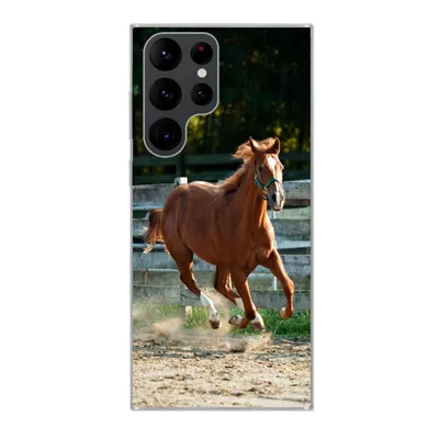 Produktbild von MuchoWow® Handyhülle Schutzhülle Hülle für Samsung Galaxy S22 Ultra Pferd - Licht - Sand Silikon Softcase Handy Hülle - Abbildung
