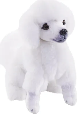 Image de Chien en peluche Caniche blanc avec son - 18 cm