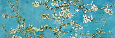 Produktbild von Vincent Van Gogh Kunstdruck Bild - Blühende Mandelbaumzweige, 1890 (30 x 91 cm)