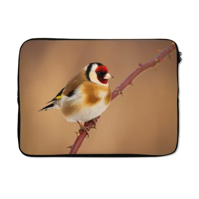 Produktbild von MuchoWow® Laptop Hülle 14 ZollKropftaube - Vogel - Tiere Laptoptasche - Laptoptasche - Stoßsicher - Schutzhaube