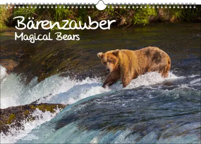 Produktbild von Bärenzauber DIN A3 Immerwährender Kalender Bären - Seelenzauber