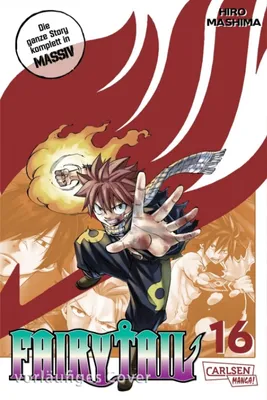 Produktbild von Fairy Tail Massiv 16