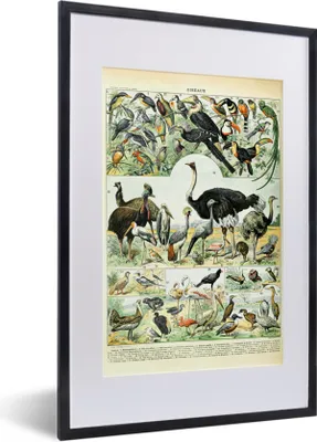Produktbild von MuchoWow® Gerahmtes Poster Tiere - Vögel - Design 40x60 cm - Poster mit Schwarzem Bilderrahmen Wandposter Rahmen Foto Bilder - Poster in Rahmen
