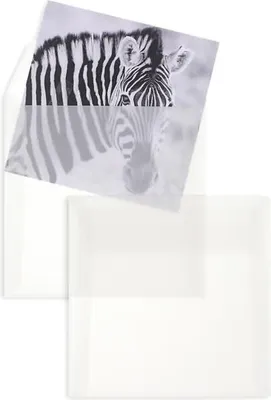 Produktbild von Briefumschläge Offset transparent 170x170mm 100g/qm HK VE=100 Stück weiß